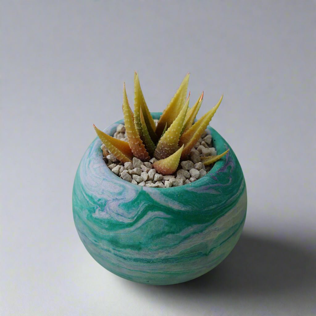 Round Cement Pot with Marble Pattern - Shalamar Nurseries & LandscapersShalamar Nurseries & Landscapers