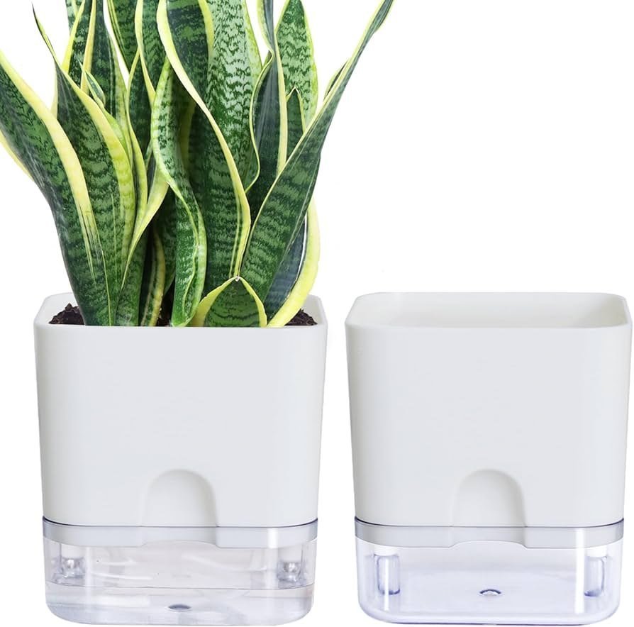 Self Watering Pot Square 4in. - Shalamar Nurseries & LandscapersShalamar Nurseries & Landscapers