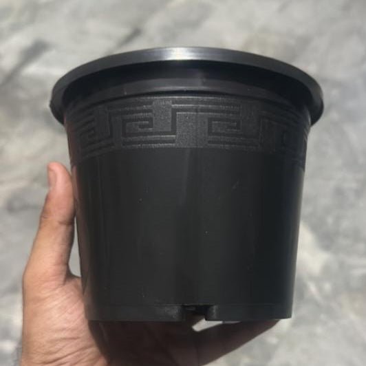 Set of 3 Black Plastic pot with pattern - Shalamar Nurseries & LandscapersShalamar Nurseries & Landscapers