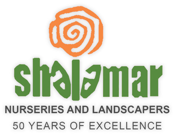 Shalamar Nurseries & Landscapers