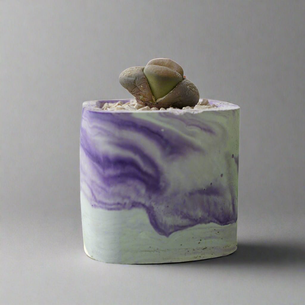 Square Concrete Pot With Marble Pattern - Shalamar Nurseries & LandscapersShalamar Nurseries & Landscapers