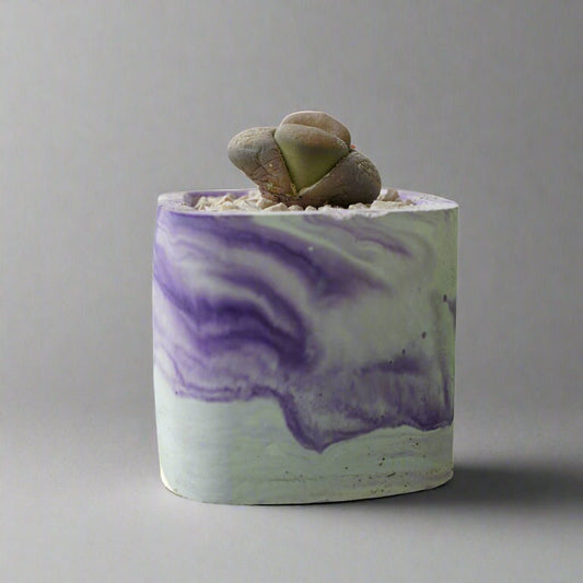 Square Concrete Pot With Marble Pattern - Shalamar Nurseries & LandscapersShalamar Nurseries & Landscapers
