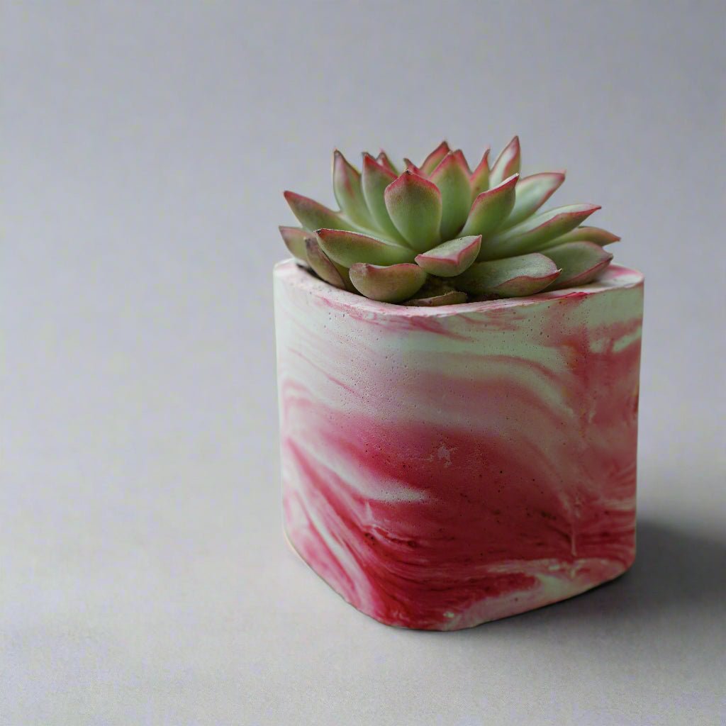 Square Concrete Pot With Marble Pattern - Shalamar Nurseries & LandscapersShalamar Nurseries & Landscapers