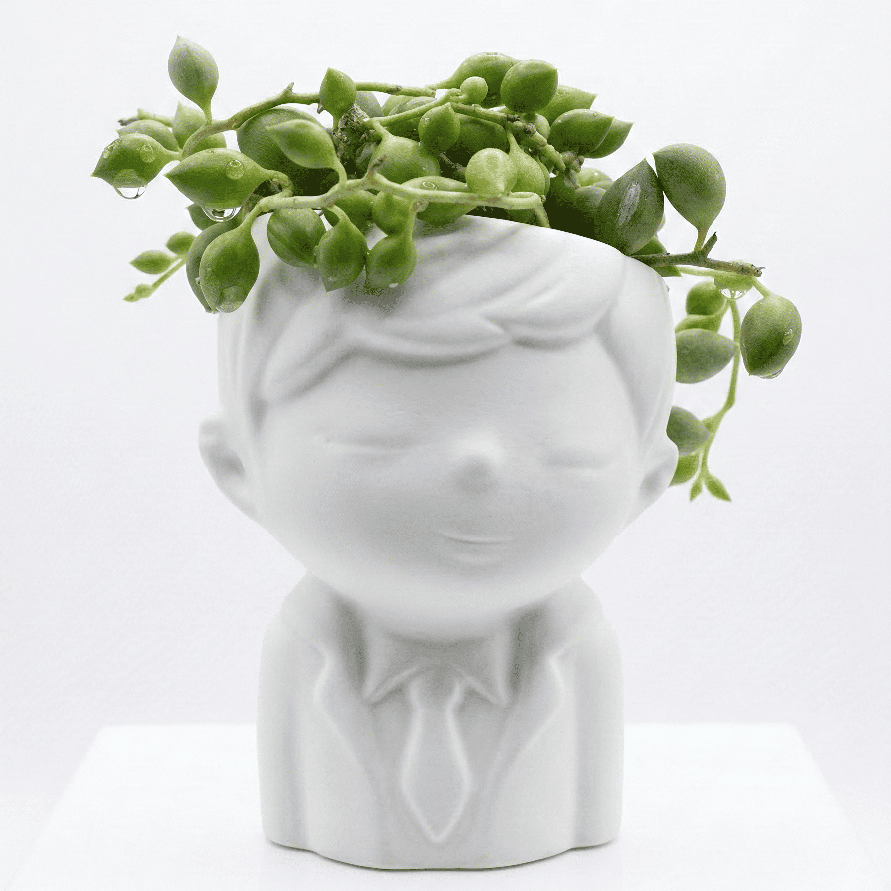 String of Pearls in Bobby Pot