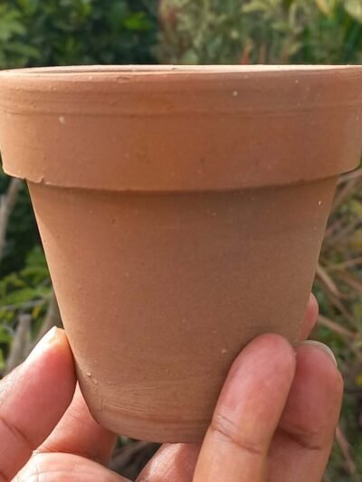 Terracotta pot 3in. (2 Pieces)